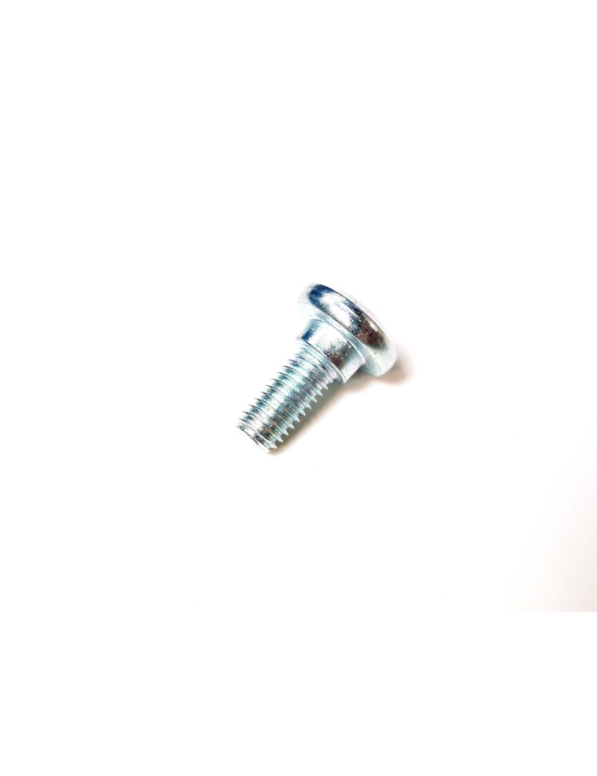BOLT M6