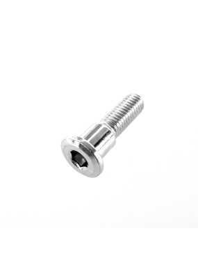 BOLT,FRONT BRAKE DISC