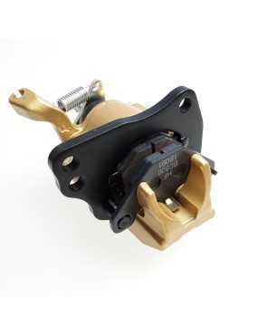 Caliper Ass'y,Rear Left, BC-820