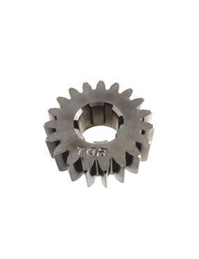 GEAR(19T)