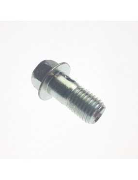 OIL BOLT M10x1,25