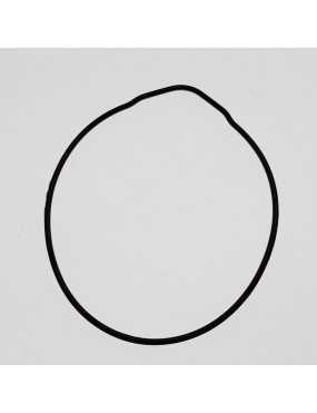 Oil Ring, Waterproof