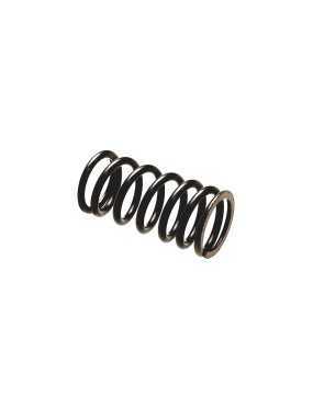 Spring ,Valve Inner