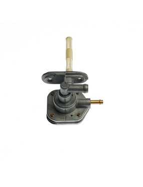 Valve, Fuel
