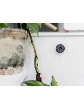 Quad Lock® Adhesive Wall Mount (Twin Pack) (V2)