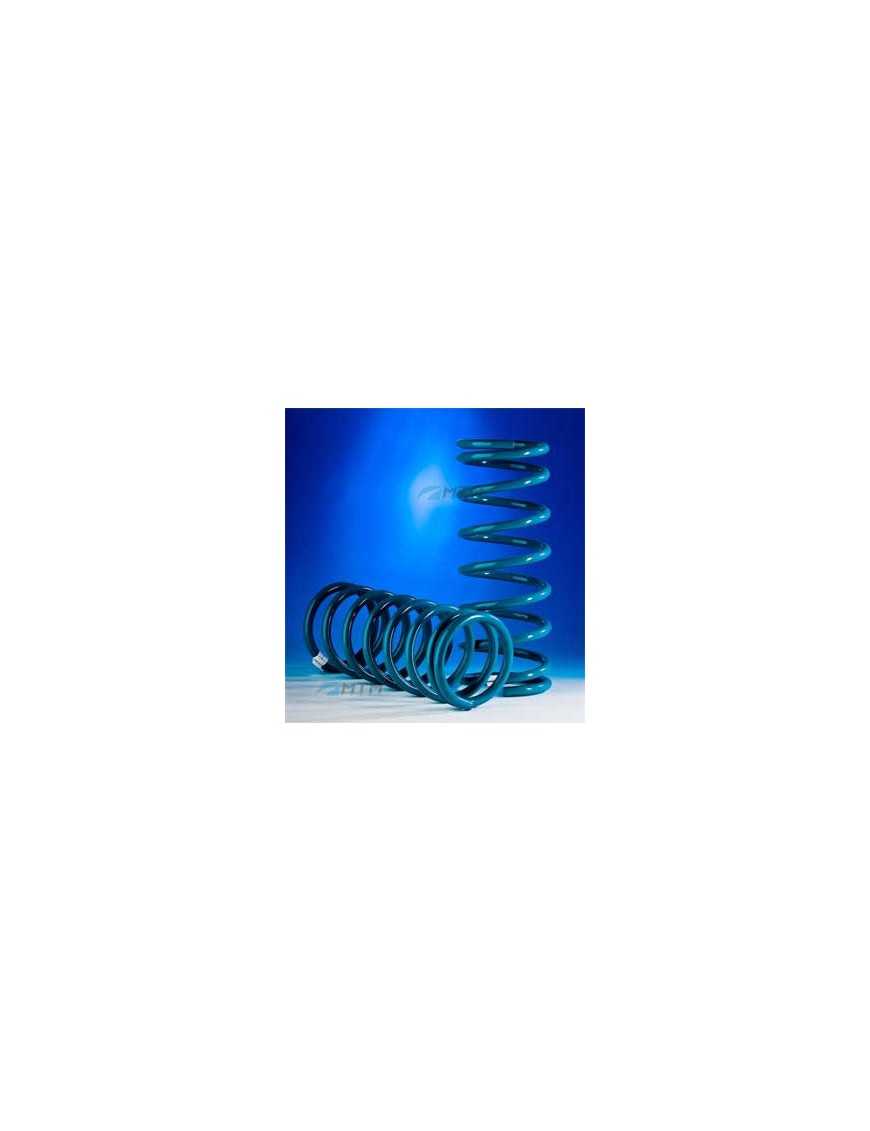 2-inch Dobinsons Patrol Y61 Short Rear Springs 2-inch Dobinsons Patrol Y61 Short Rear Springs