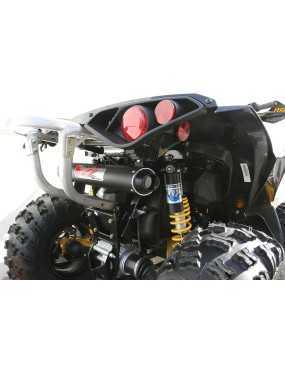 BIG GUN Can-Am Renegade...