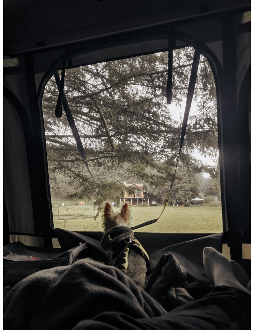 James Baroud SPACE M White roof tent