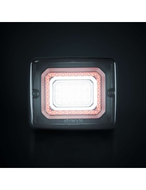 FOR9T ILLUSION REVERSE/FOG LIGHT