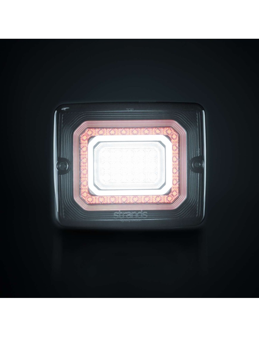 FOR9T ILLUSION REVERSE/FOG LIGHT