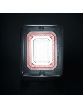 FOR9T ILLUSION REVERSE/FOG LIGHT