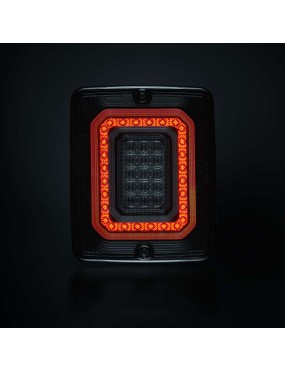 FOR9T ILLUSION REVERSE/FOG LIGHT