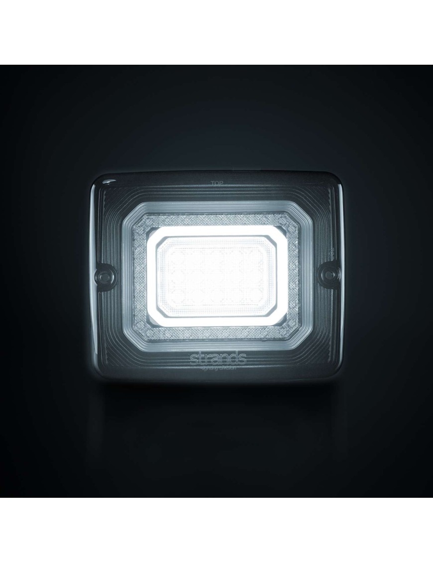 FOR9T ILLUSION REVERSE/FOG LIGHT