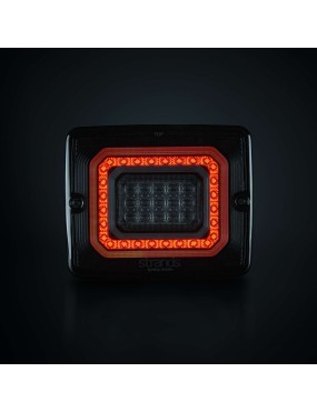 FOR9T ILLUSION REVERSE/FOG LIGHT