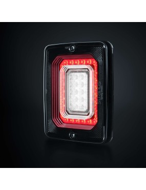 FOR9T ILLUSION REVERSE/FOG LIGHT