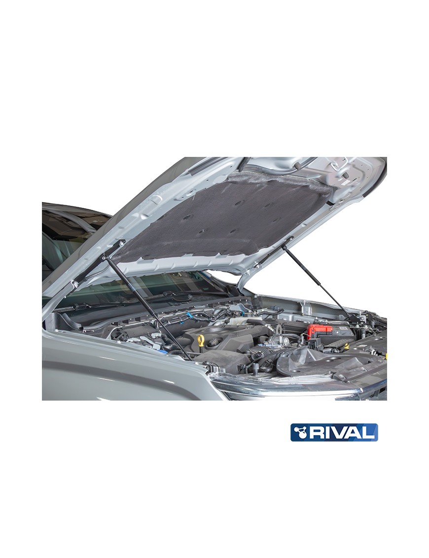 Gas Struts Ford Everest 2022- Ranger Raptor 2022- Ranger 2022- Volkswagen Amarok 2023-