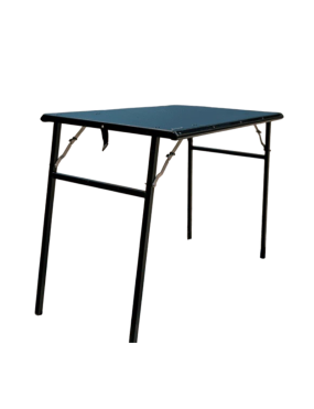 Bison Gear OX PRO Under Roof Rack Camping Table