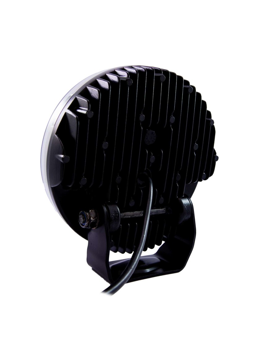 FREEDOM MAXIMUM POSITION LIGHT 7″