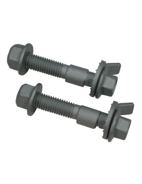 Eccentric screws for Suzuki...