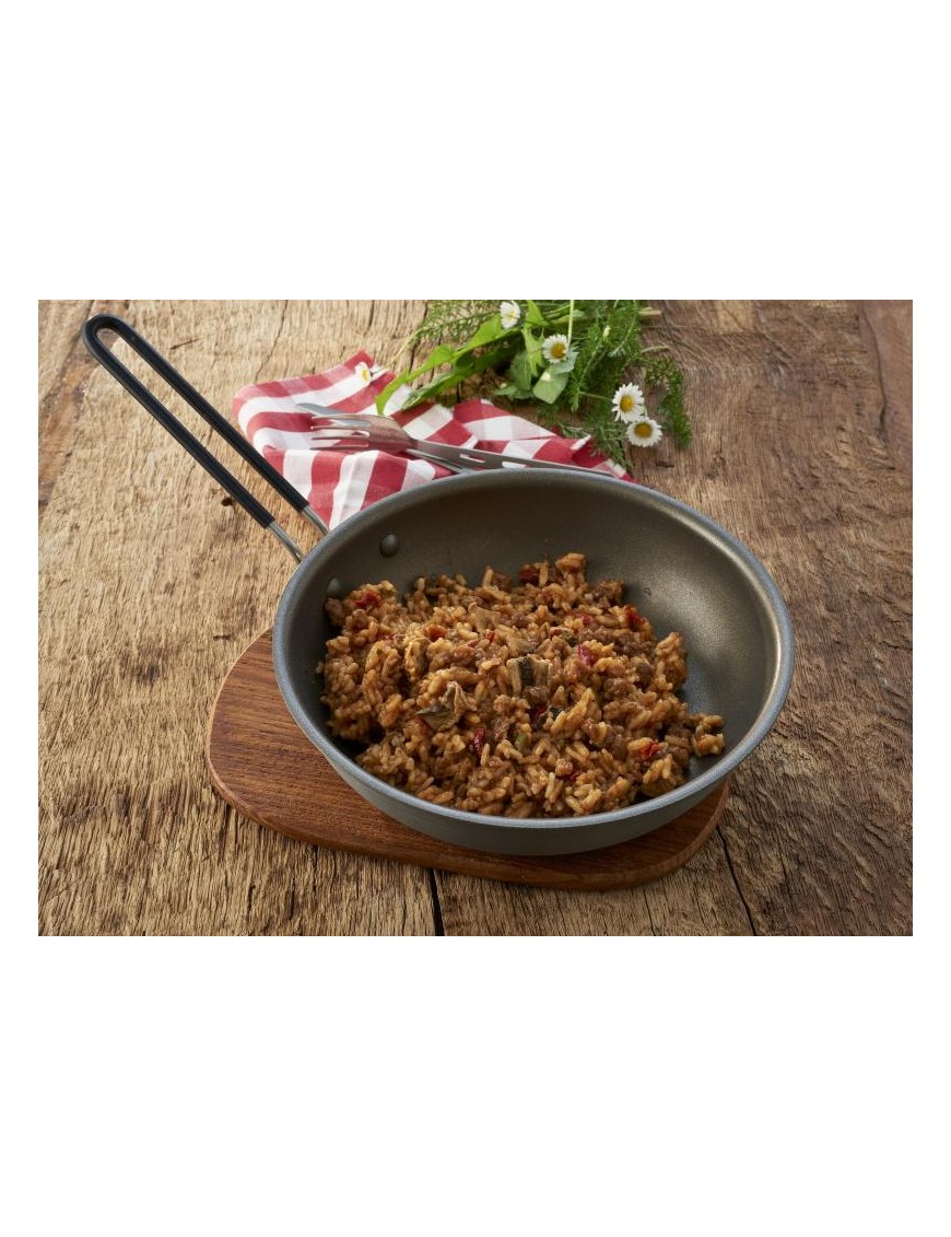 Beef Stroganoff with Rice