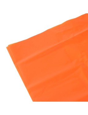 Lifesystems Survival Bag