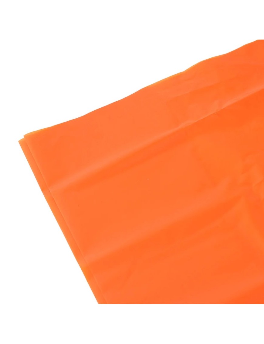 Lifesystems Survival Bag