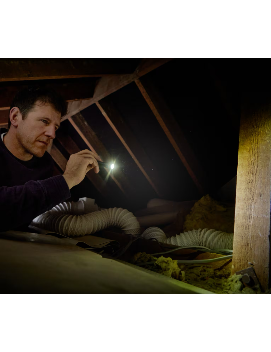 OSRAM LEDinspect TORCH 250 ESSENTIAL – 250 lm LED Inspection Torch