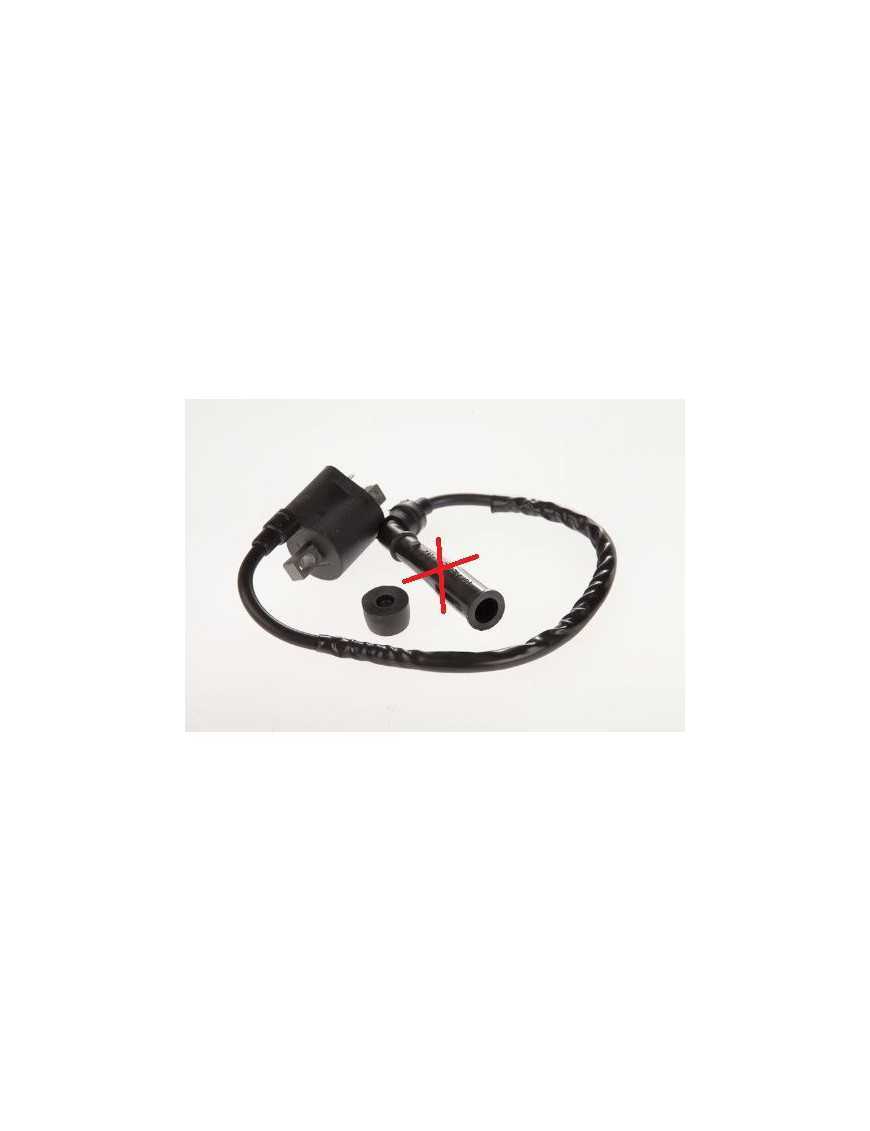 Ignition Coil without Spark Plug Yamaha Raptor Grizzly Rhino 660 5FU-82310-00-00 Ignition Coil without Spark Plug Yamaha Raptor Grizzly Rhino 660 5FU-82310-00-00