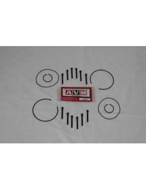 AVM 4.418 Service Kit