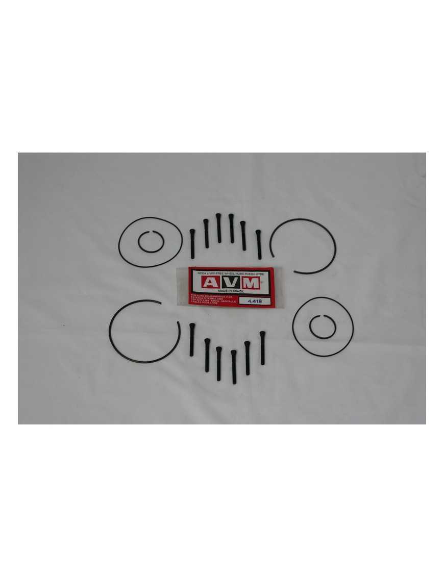 AVM 4.418 Service Kit