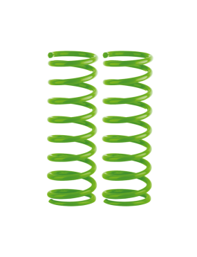 Komplet 2 tylnych sprężyn +2" medium 0-250 kg NISS018B