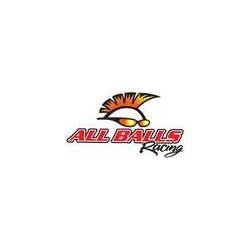 All Balls Racing